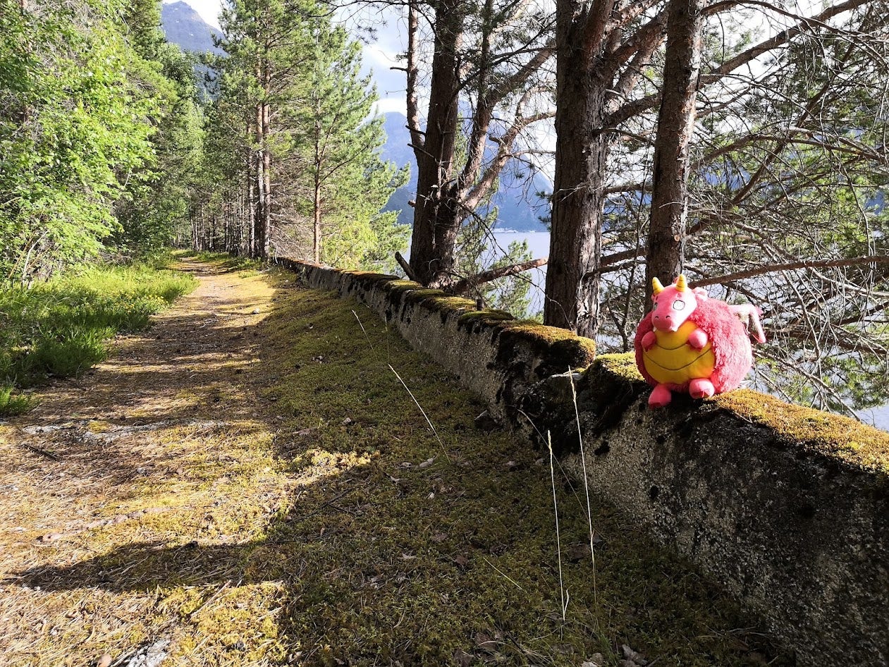 Dragon plushie sitting on the stone edge of an old road