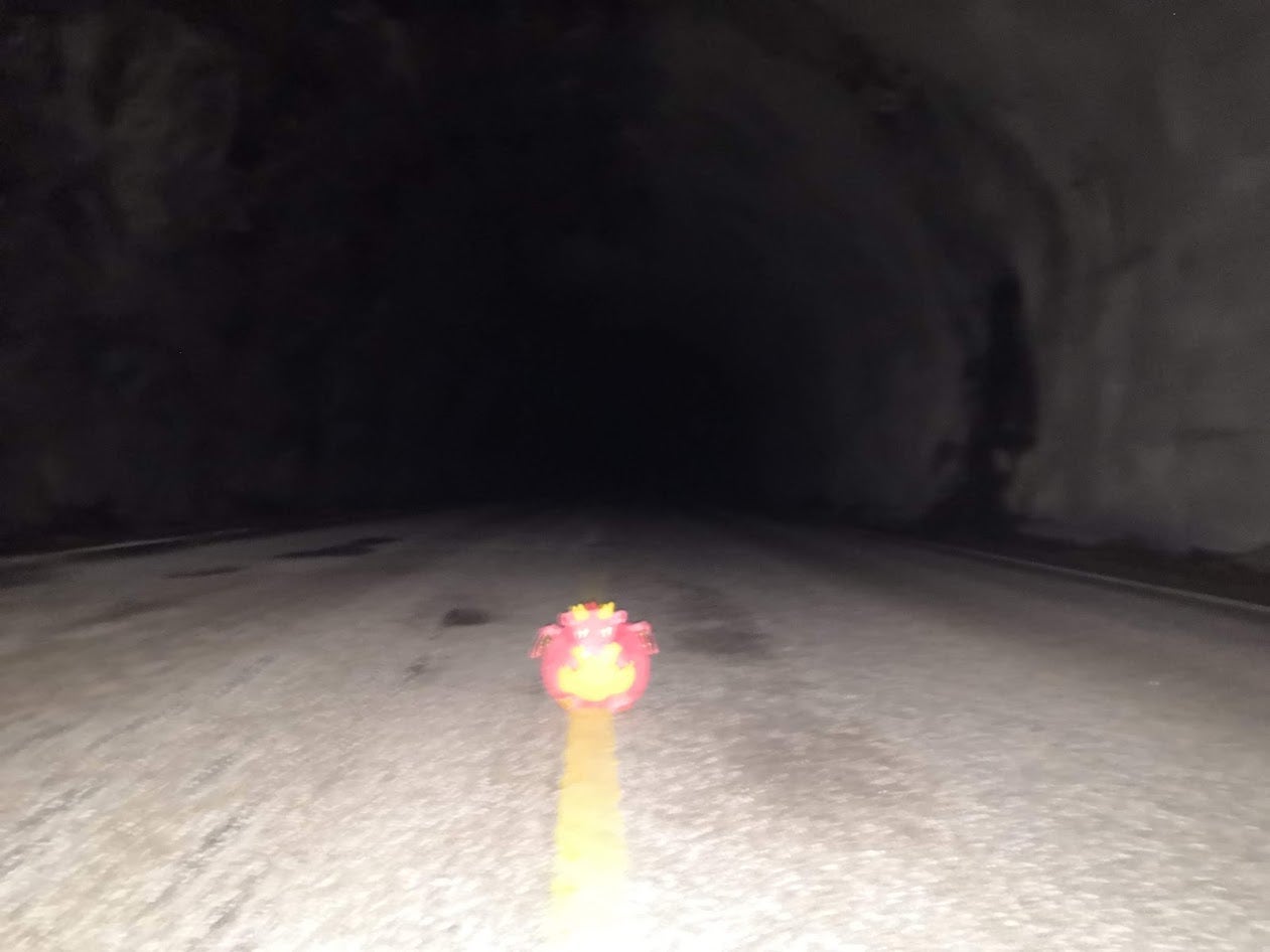 Dragon plushie in a tunnel