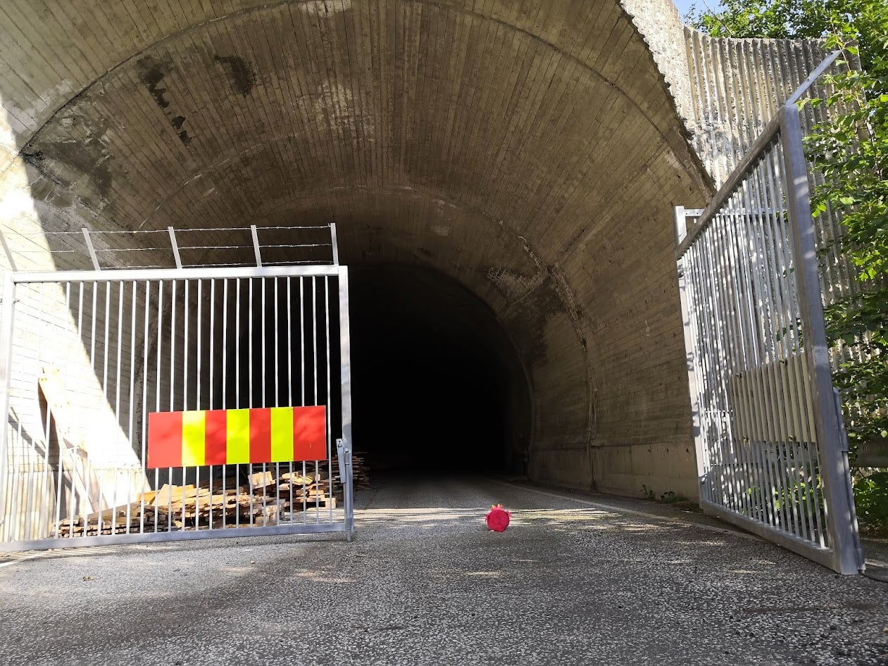 The dragon plushie at the entrance of the second tunnel