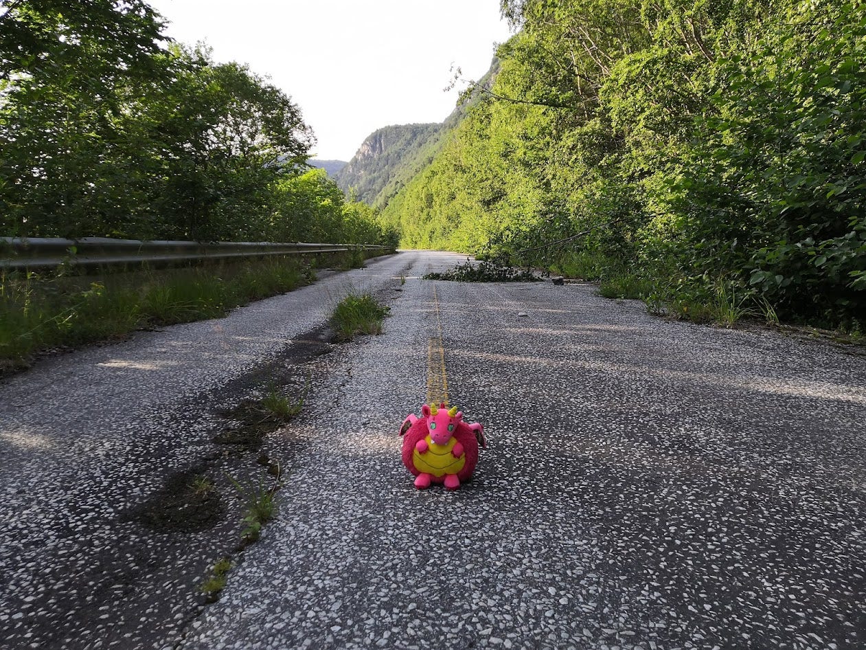 Dragon plushie on an abdoned road